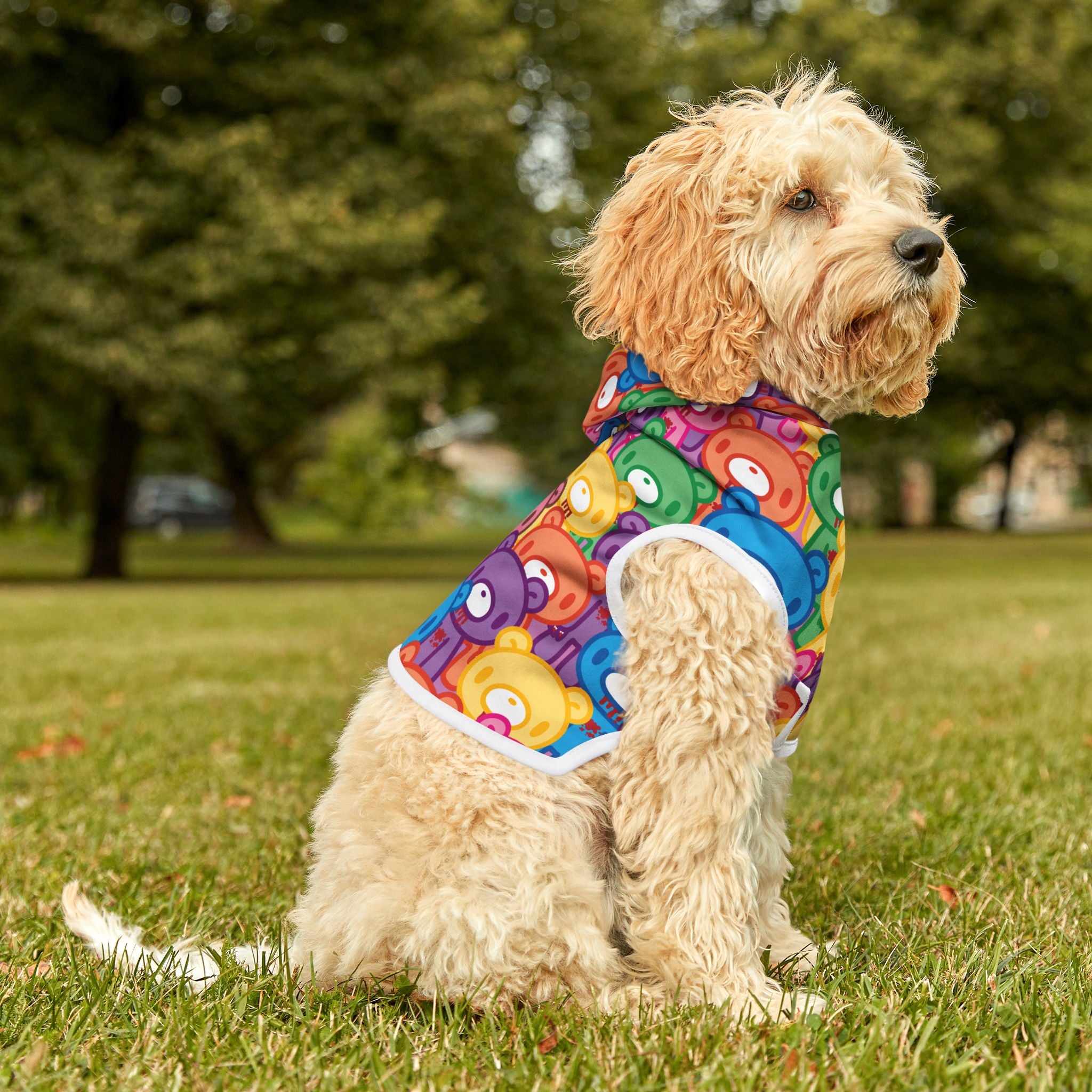 Gloomy Bear "Rainbow Dreams" Pet Hoodie